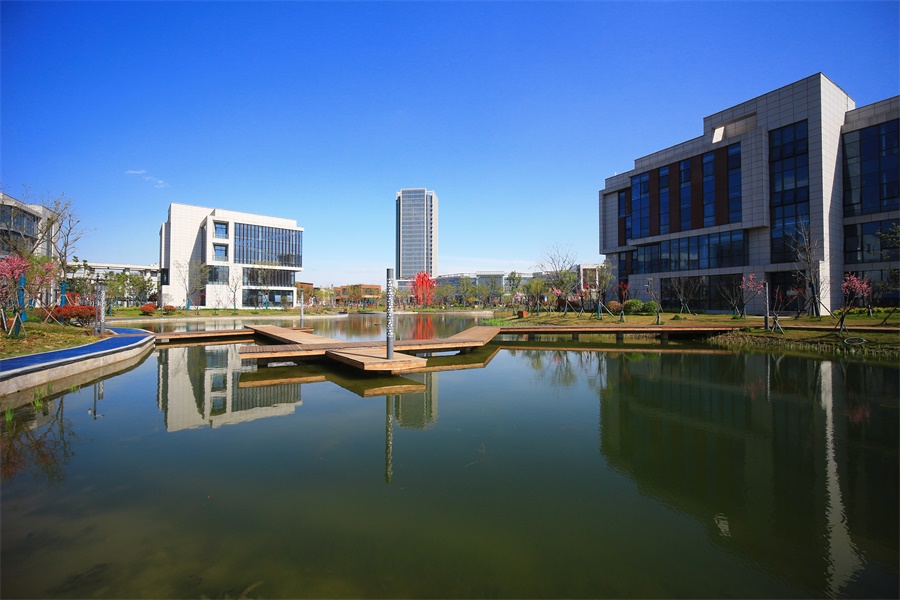 盐都区009.jpg