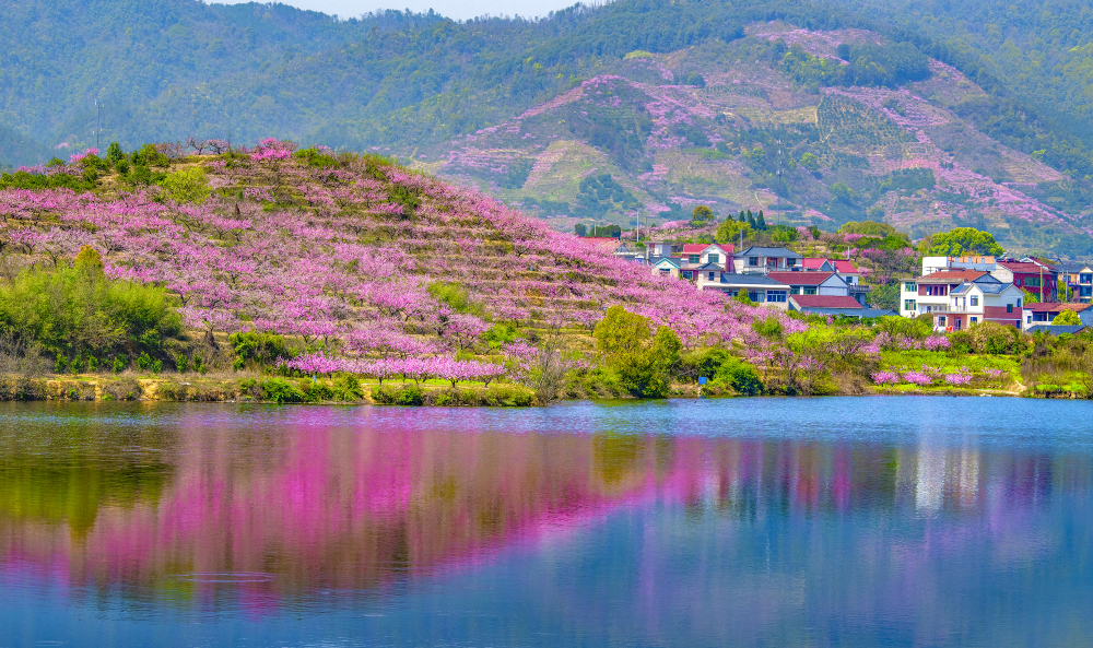 金东区00700.jpg