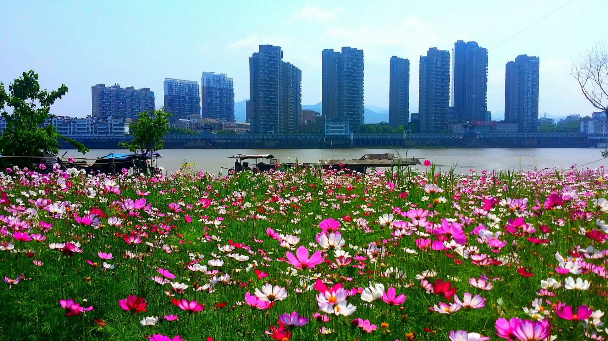 兰溪市007.jpg