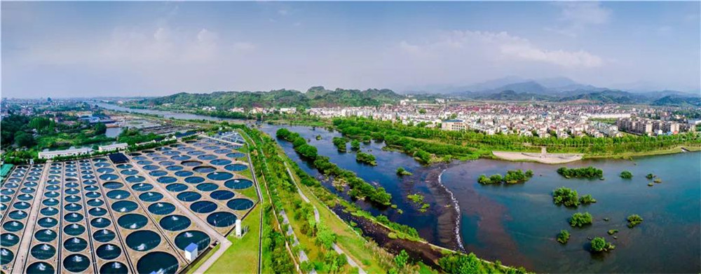 柯城区.jpg
