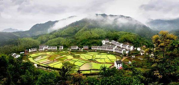 莲都区002.jpg
