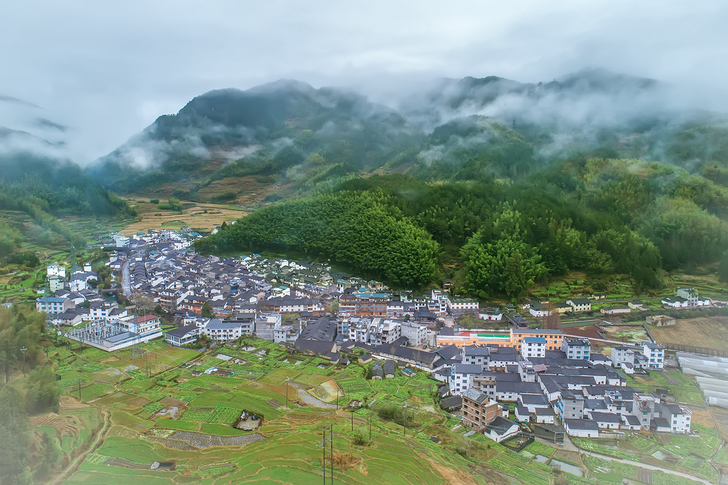 庆元县003.jpg