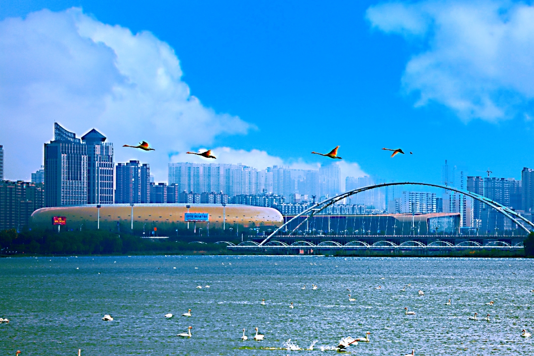 三门峡市001.jpg