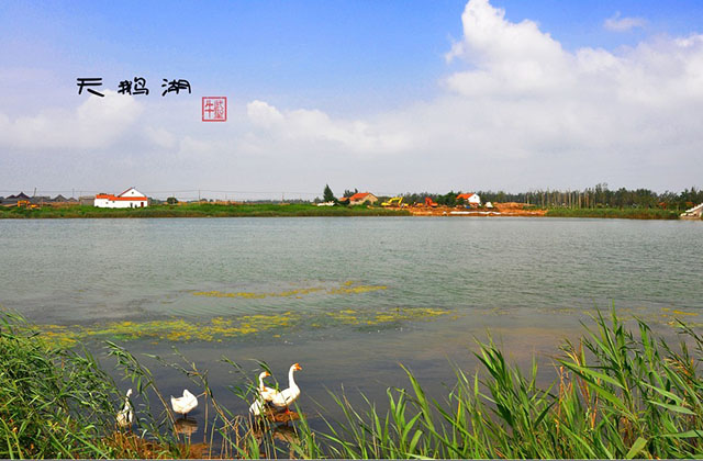 惠民县04.jpg
